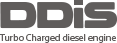 DDiS Logo